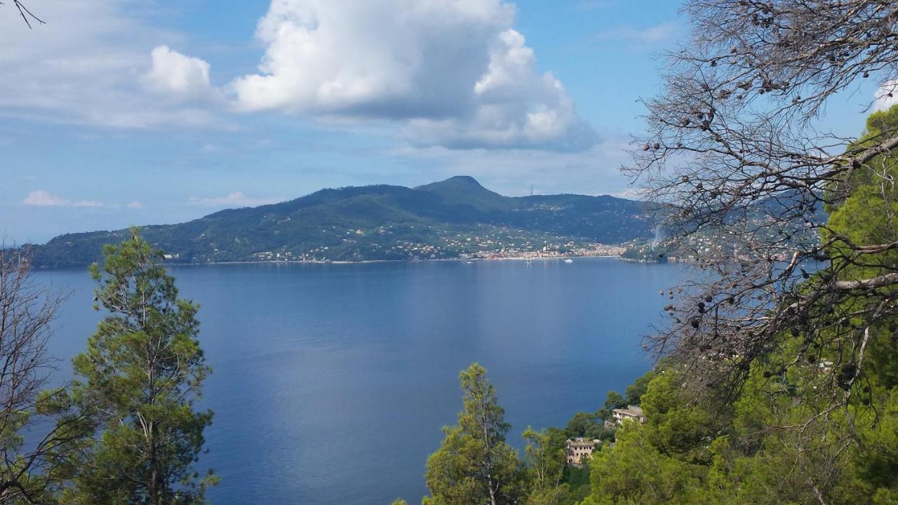 Mare E Vista Portofino - Sea And Portofino View Zoagli Exterior photo